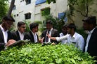 Intra-College Mediation Competition 2025
